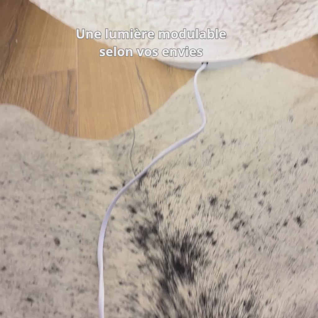 Charger la vidéo: Lampe au sol lune